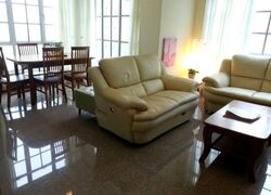 Moulmein Rise (D11), Apartment #586112411